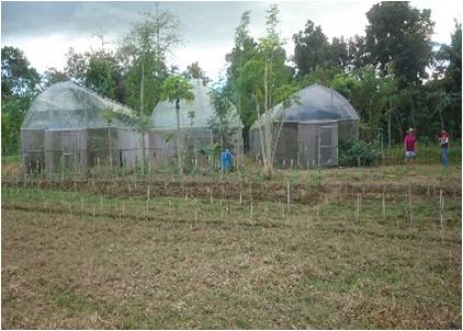 Development of Montogawe-Eco Park at Brgy. Bangac, Mina