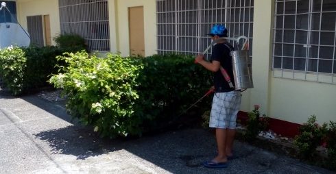 Massive Spraying, Search and Destroy Operation for Dengue